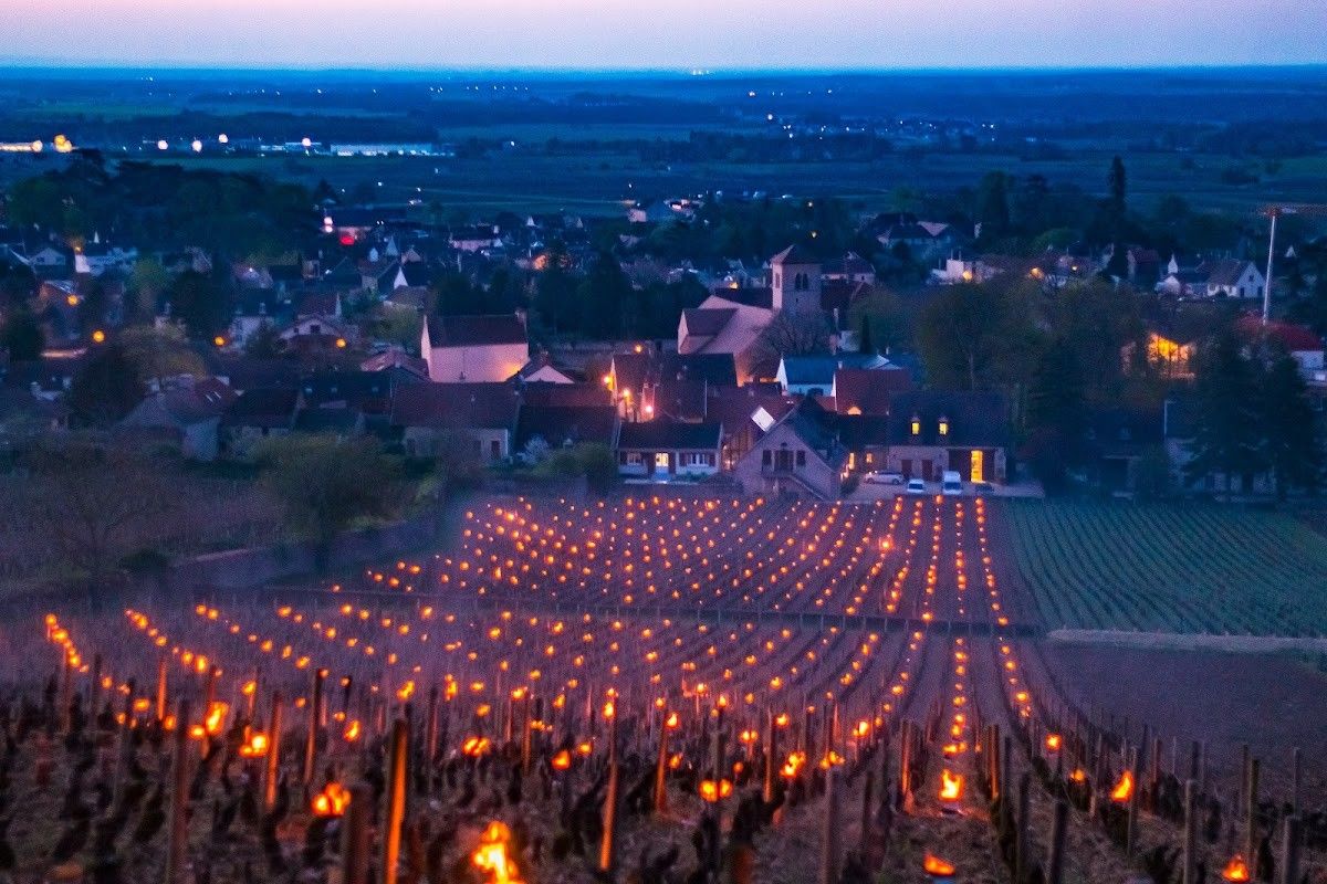 Domaine Sylvie Esmonin
