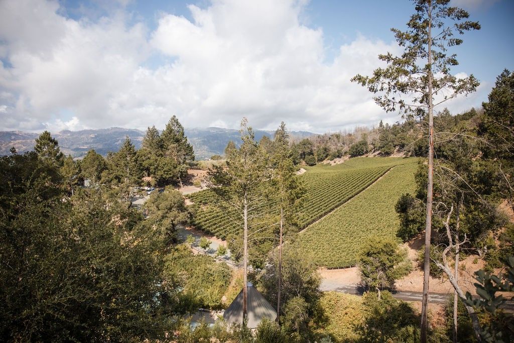 Forman Vineyards