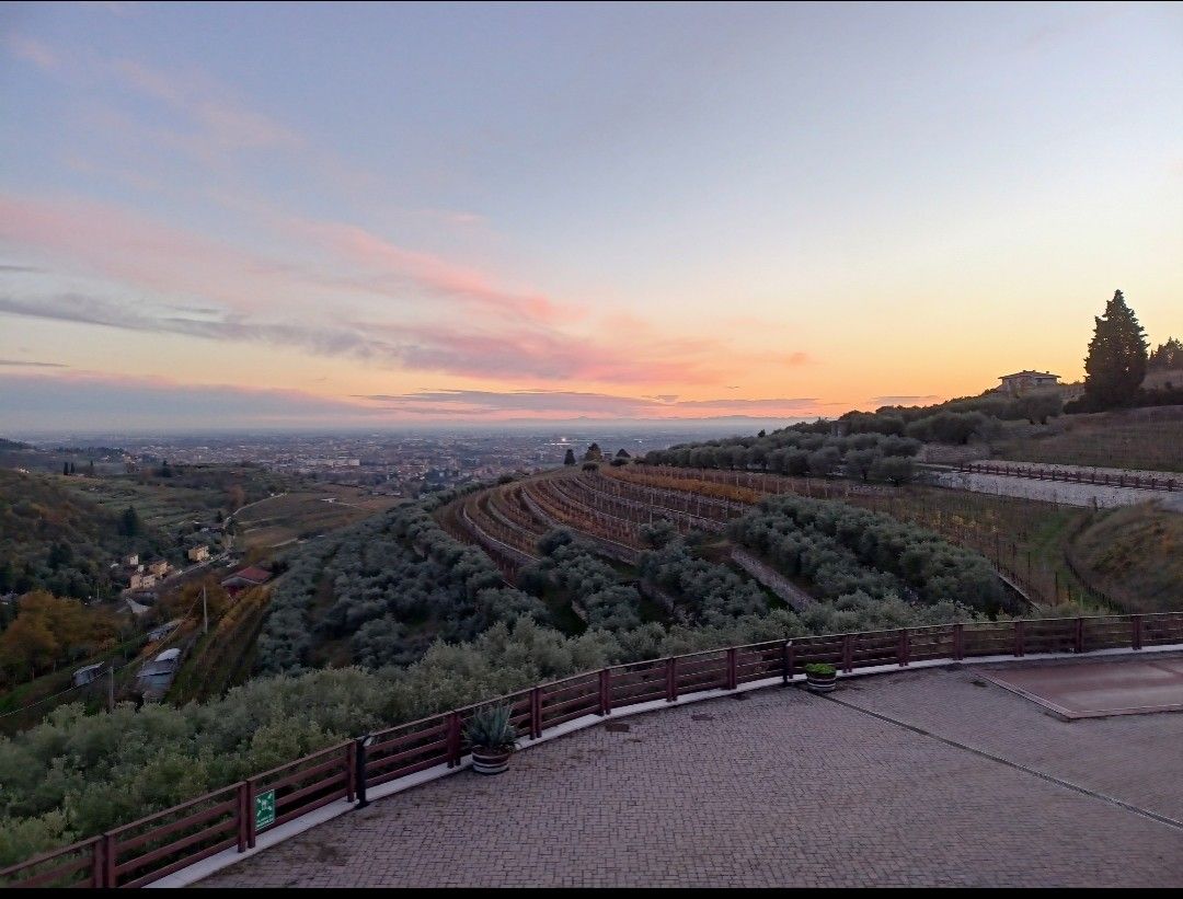 Azienda Agricola Zanoni Pietro