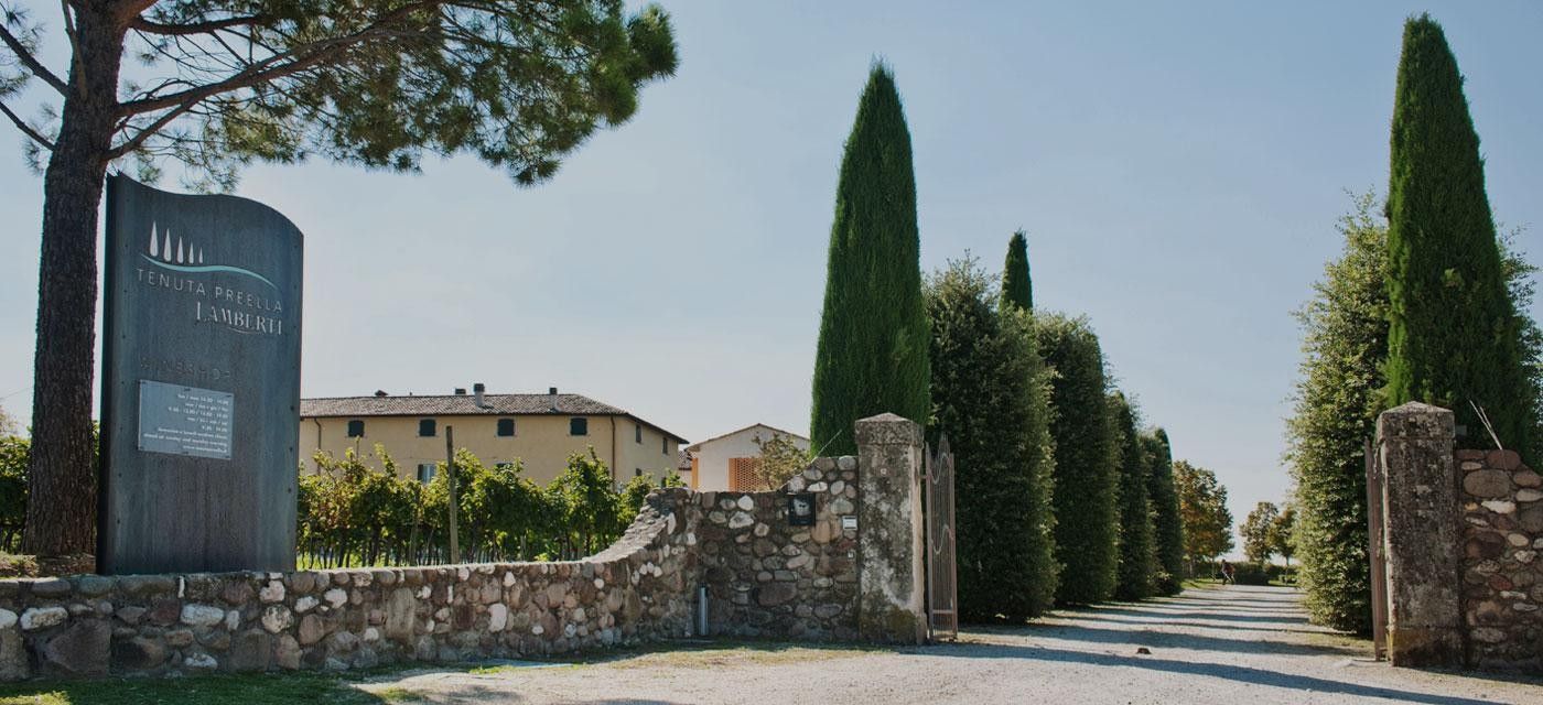 Cantine Lamberti
