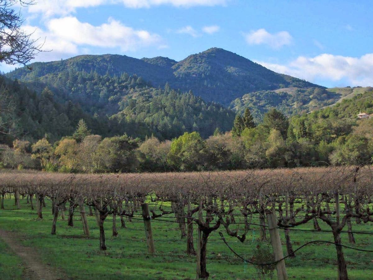 Detert Family Vineyards