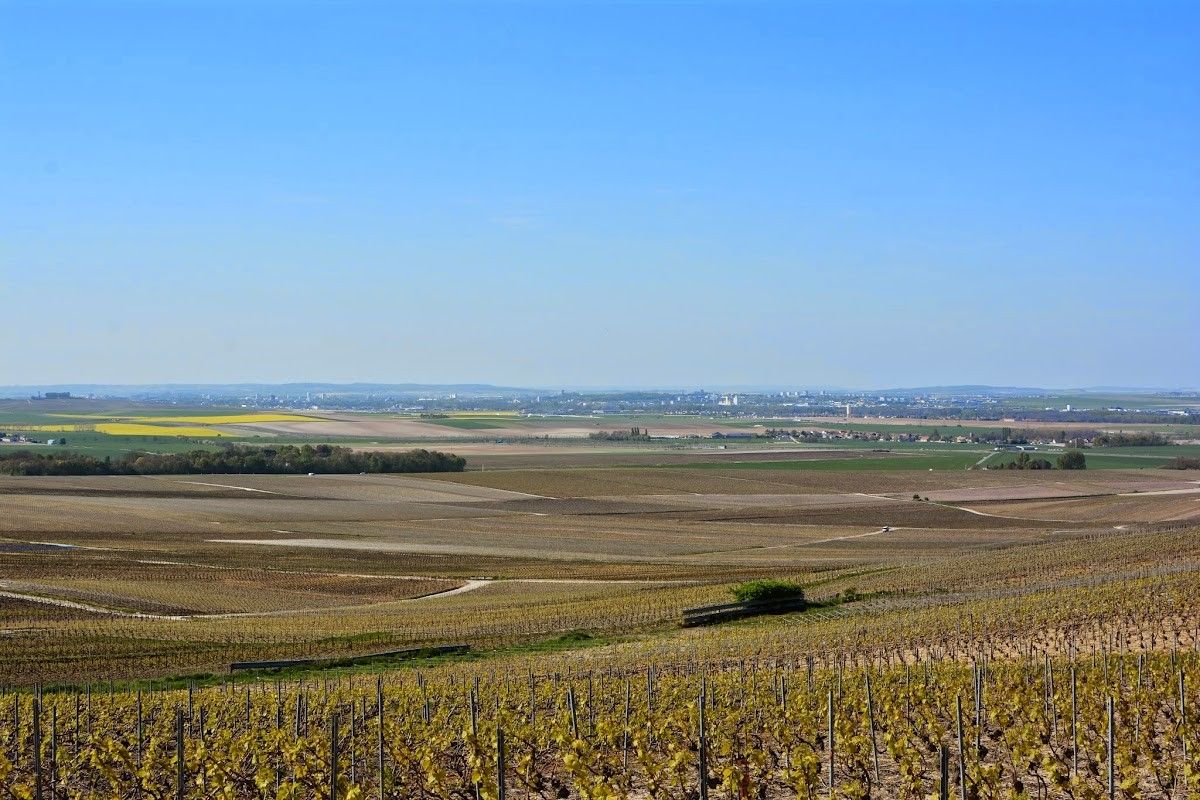 Champagne Quenardel et Fils