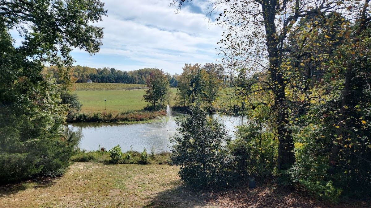 Gauthier Vineyard