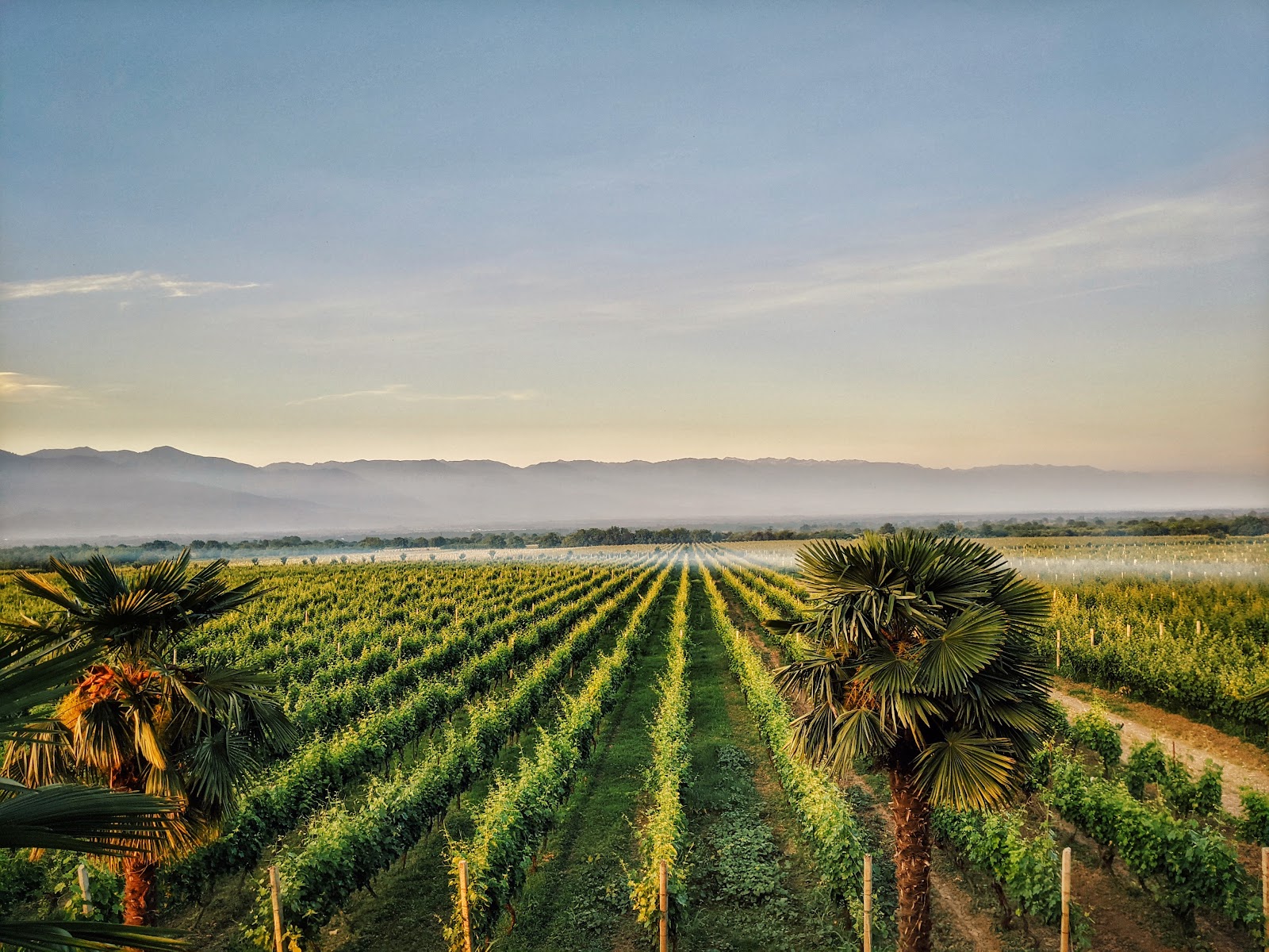 AnaBerika Winery