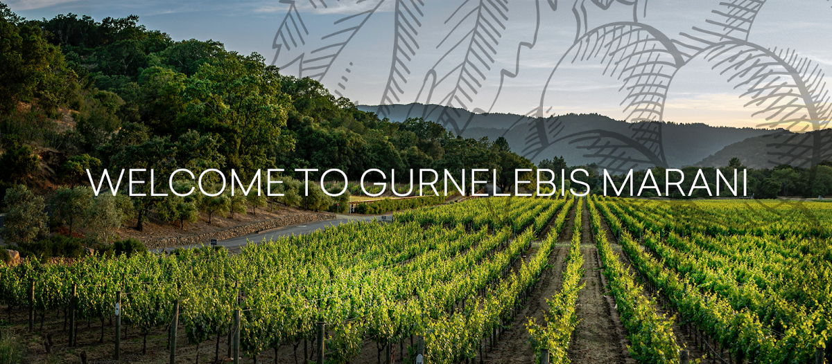 Gurnelebis Marani