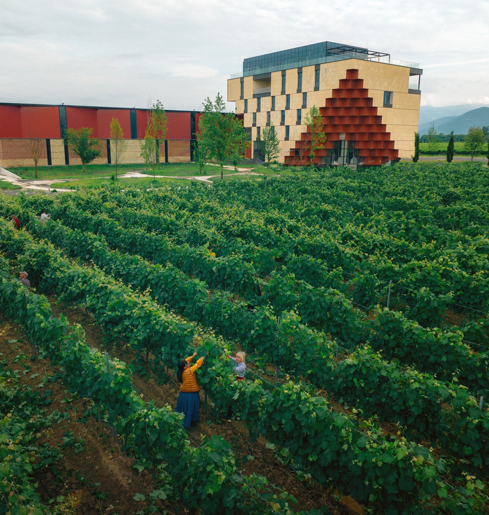Askaneli Winery & Distillery