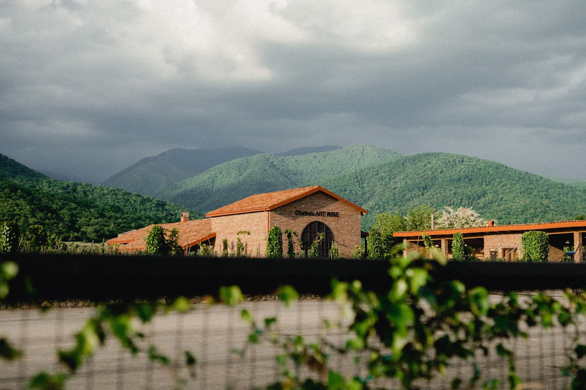 Chateau Artwine