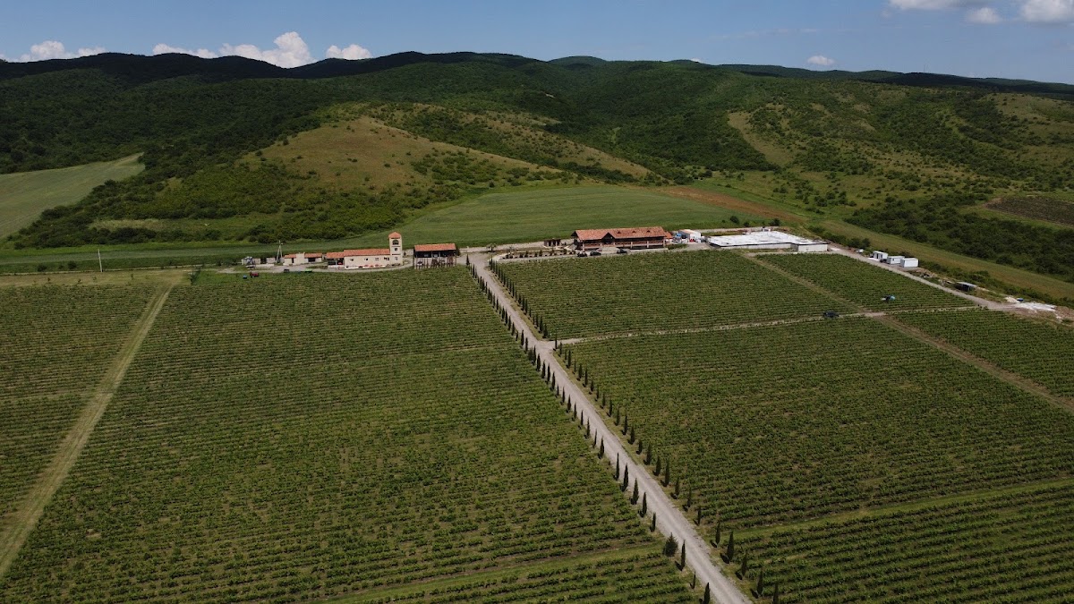 Samadashvili Wine Cellar