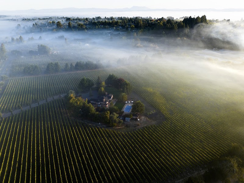 Kanzler Vineyards