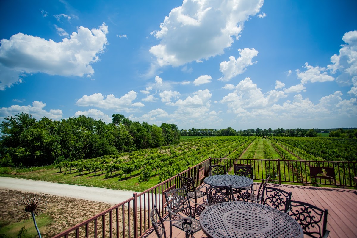 Grace Hill Winery