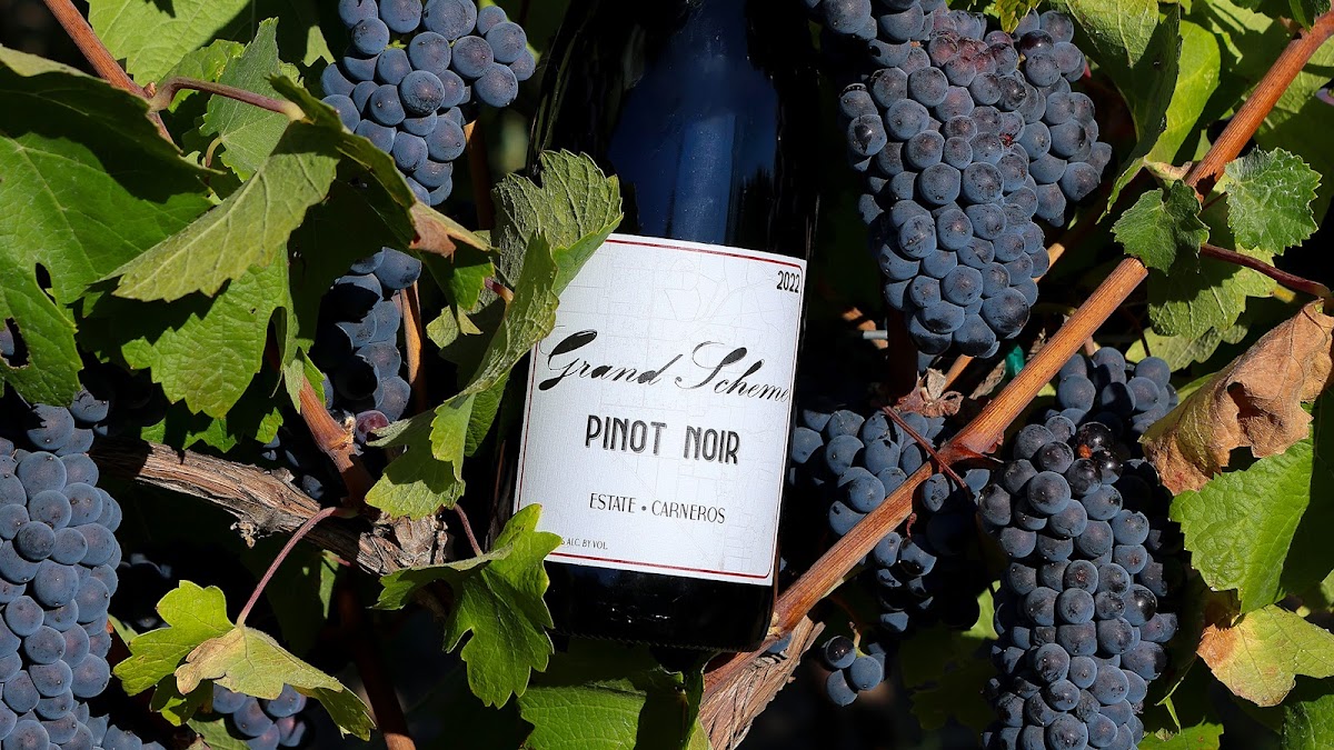 GRAND SCHEME WINES