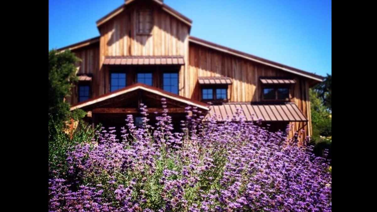 Grassini Family Vineyards