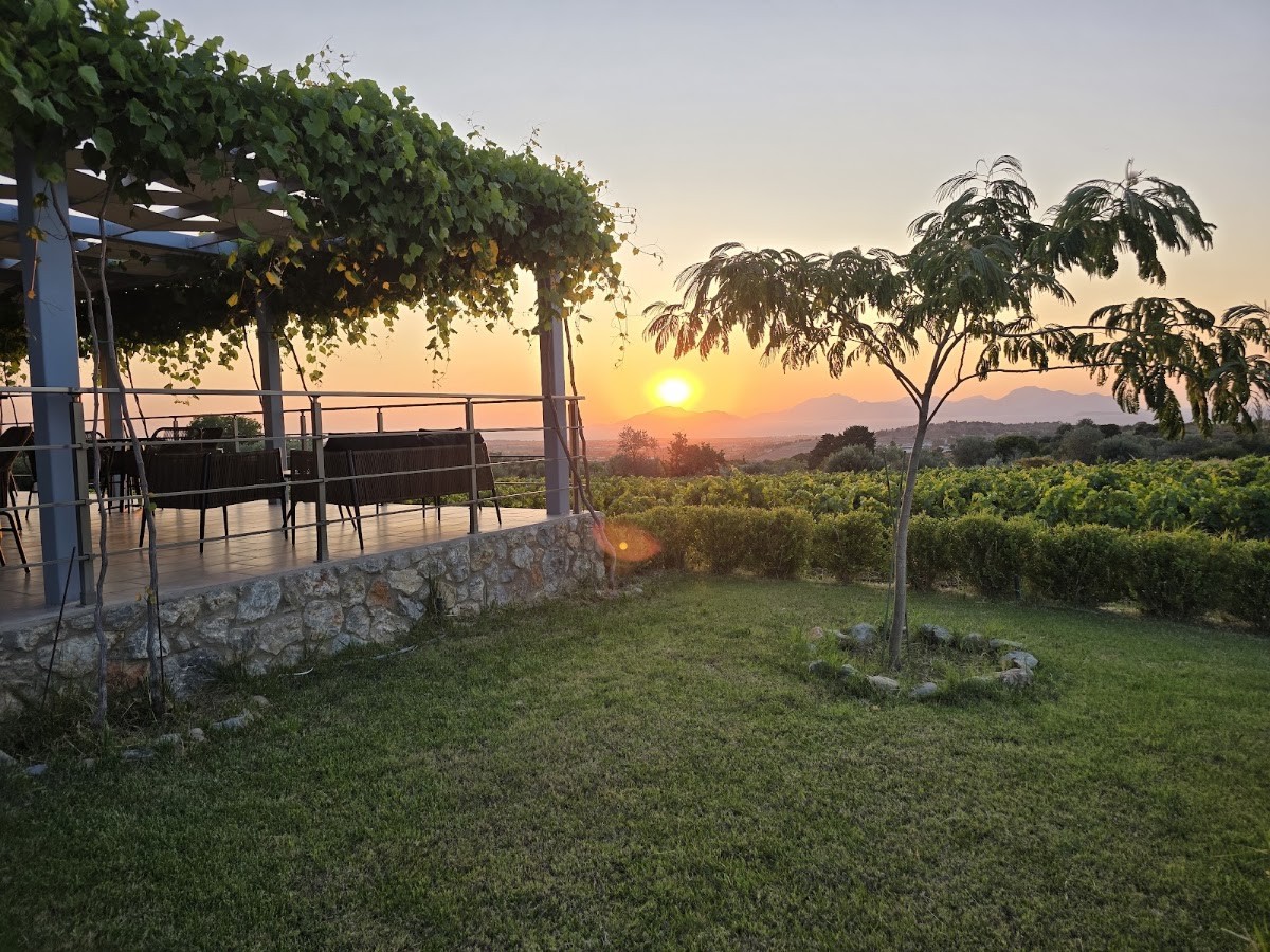 Papakonstantinou Winery