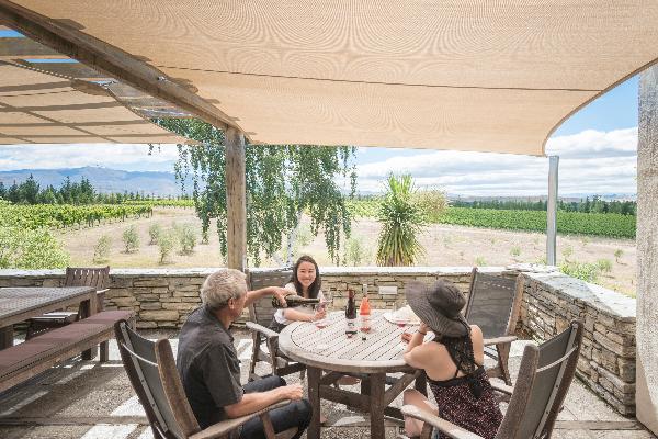 Grey Ridge Vineyard