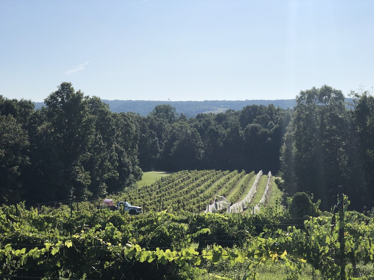 Grinder's Switch Winery
