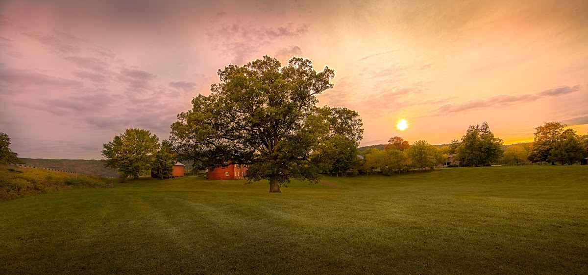 Grovedale Winery