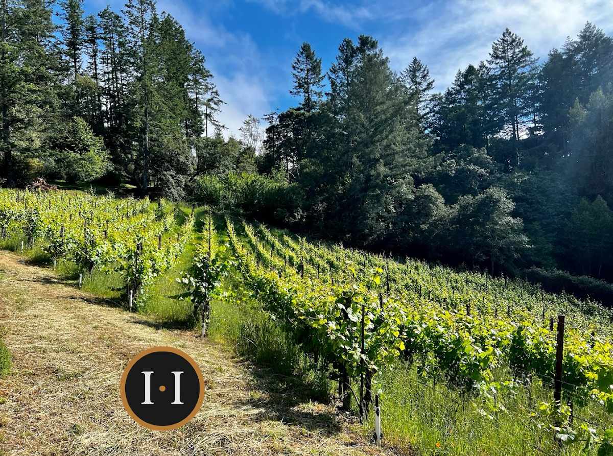 Halcyon Wines