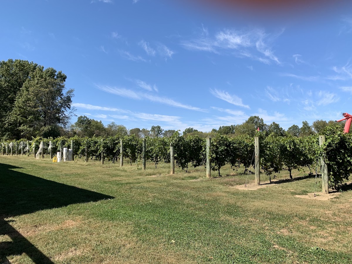 Harmony Hill Vineyards
