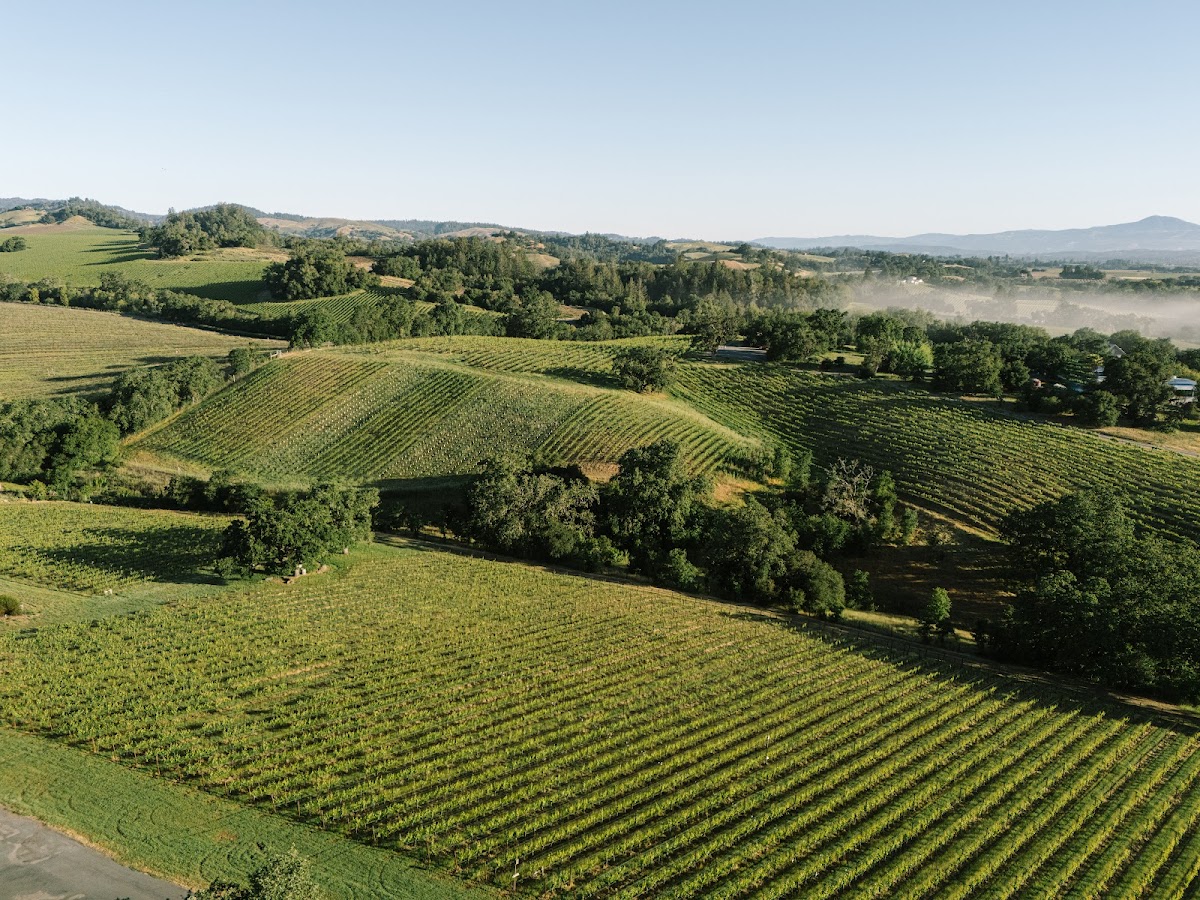 Harper's Rest Vineyard
