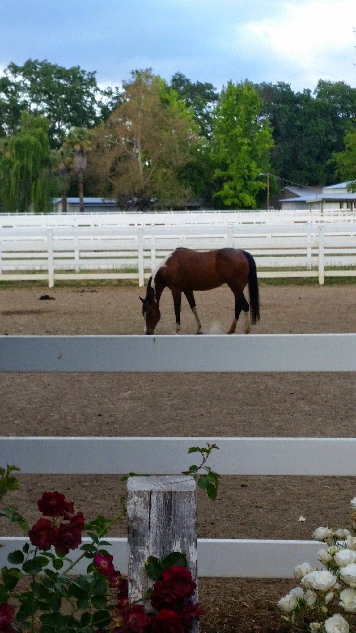 Hawk and Horse Vineyards, LLC