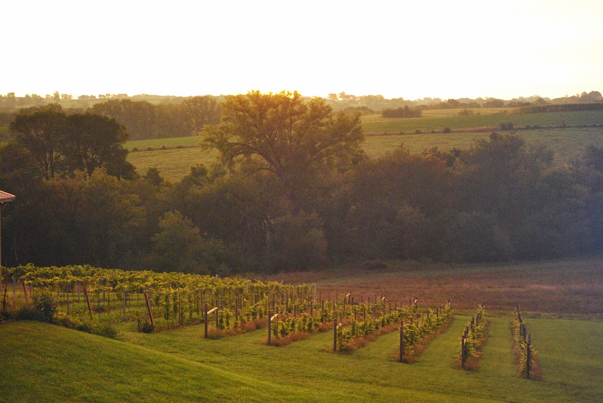 Hawk's Mill Winery