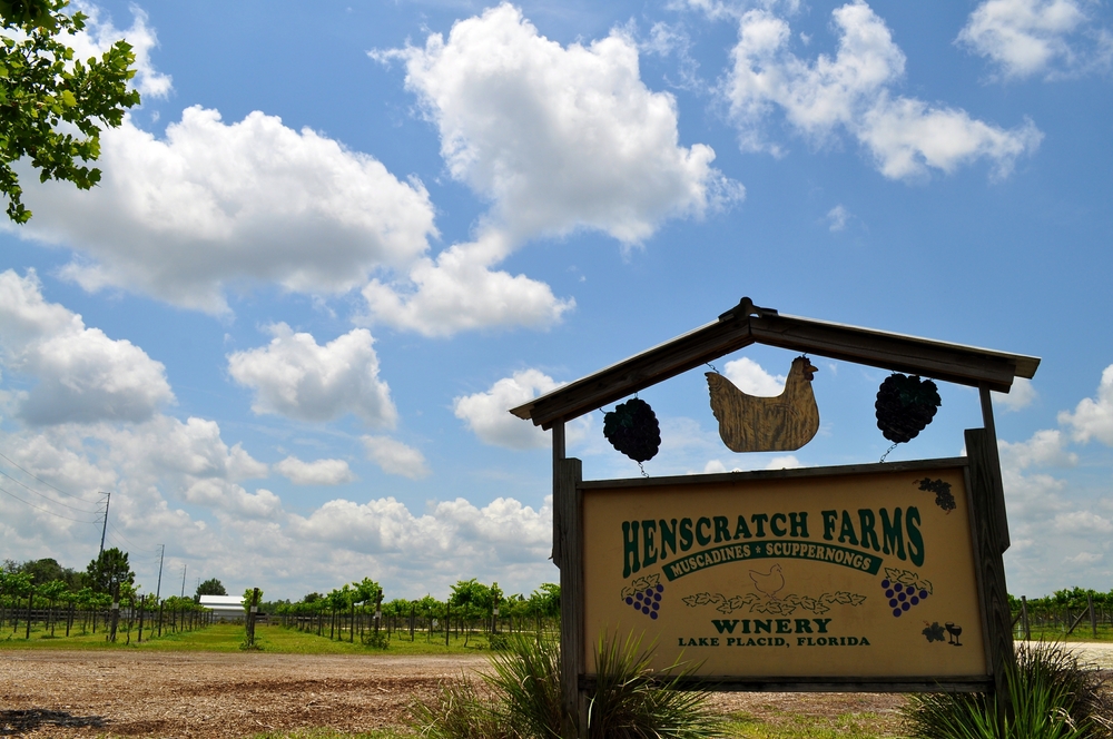 Henscratch Farms Vineyard & Winery