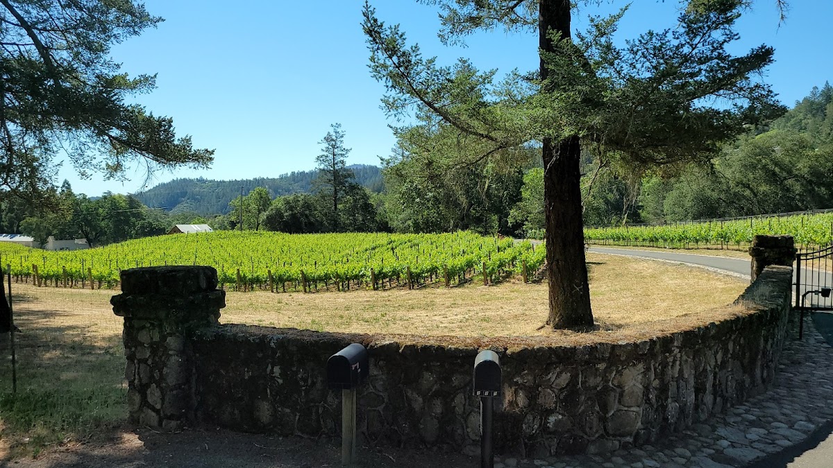Heritage School Vineyards