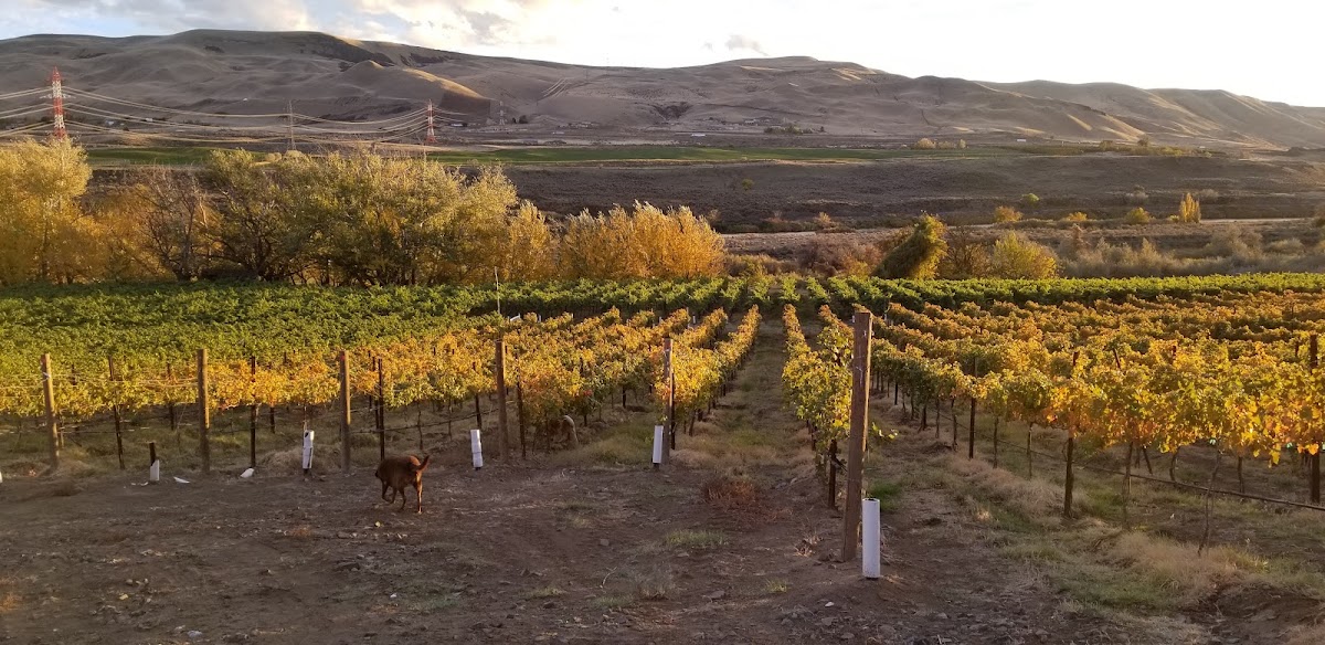 HERON BLUFF VINEYARD AND WINERY LLC