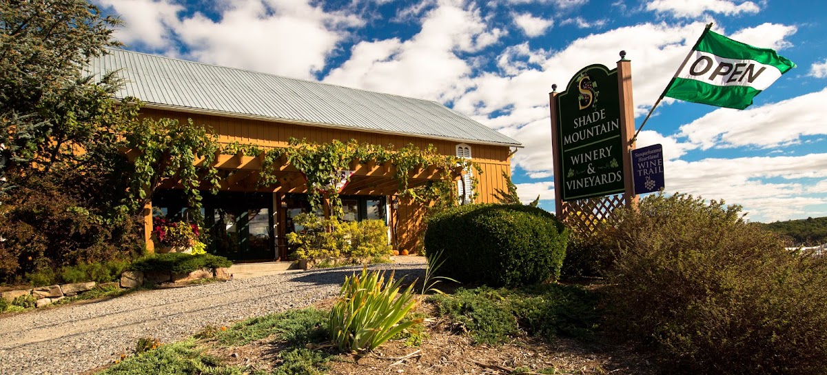 Hidden Mountain Vineyards LLC