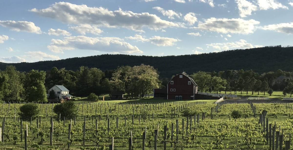 Hiddencroft Vineyards