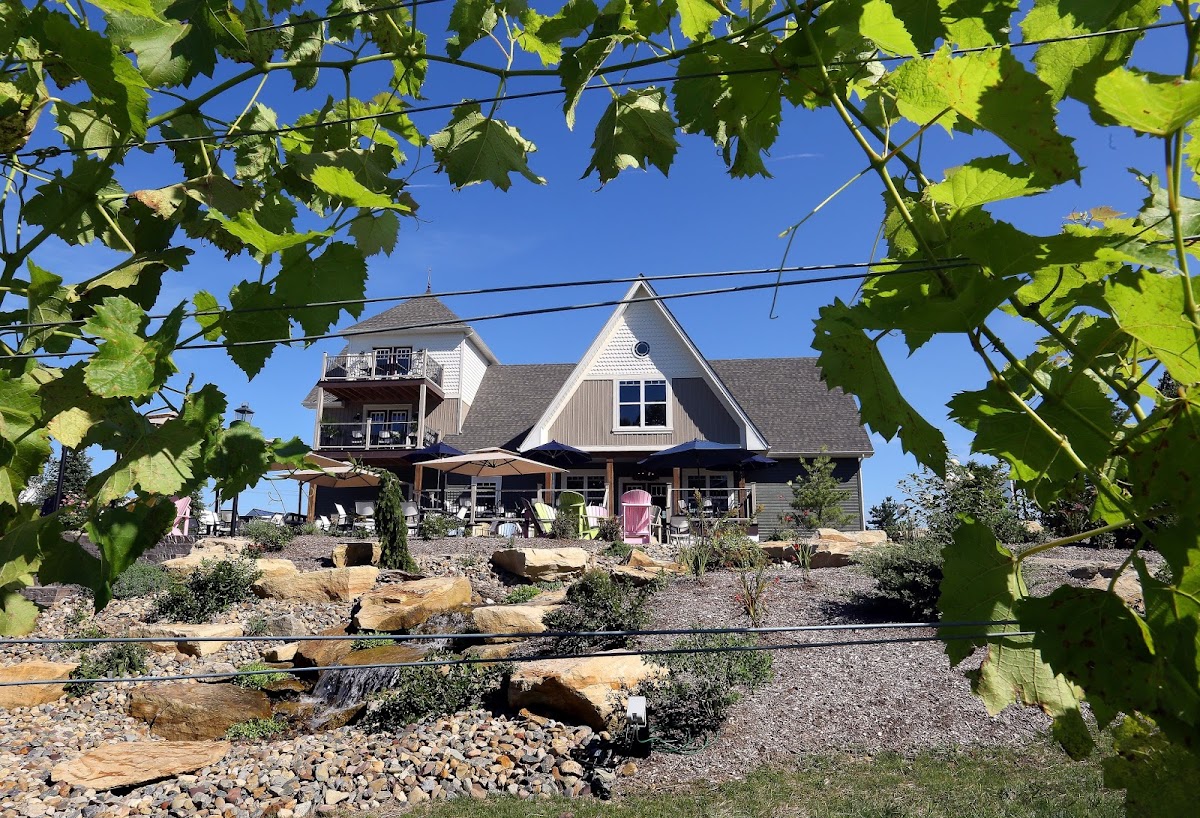 High & Low Winery