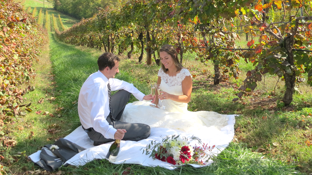 Honah Lee Vineyard