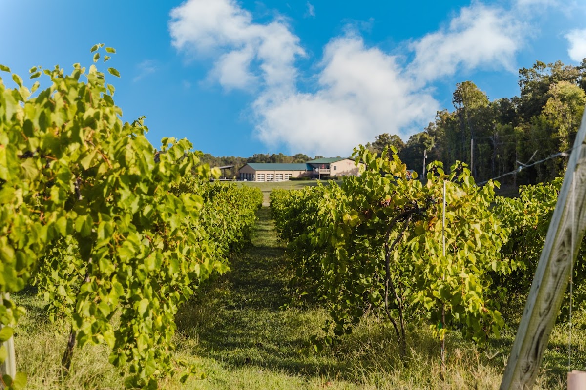 Honker Hill Winery LLC