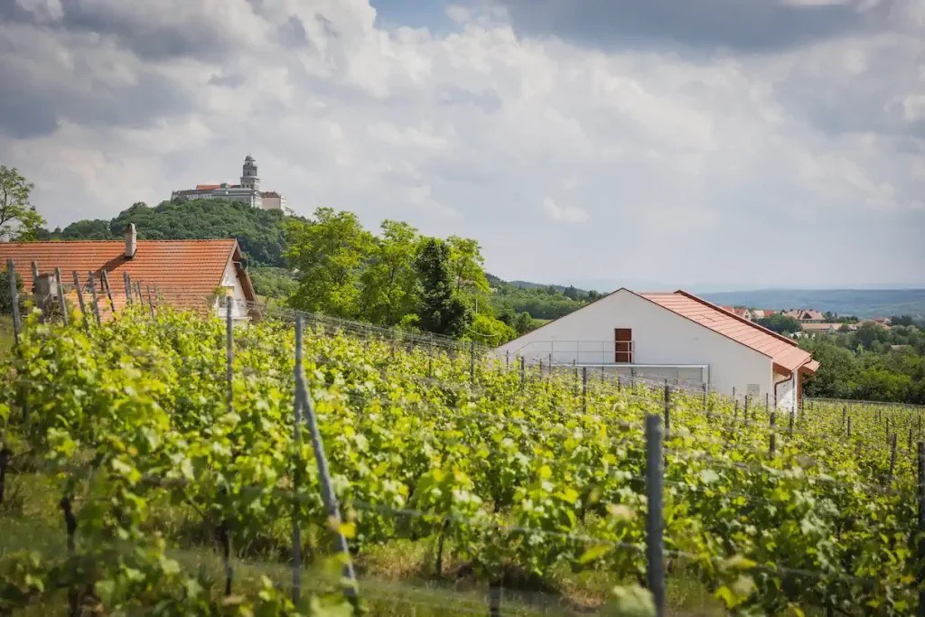 TÓTHBORBIRTOK Pannonhalma