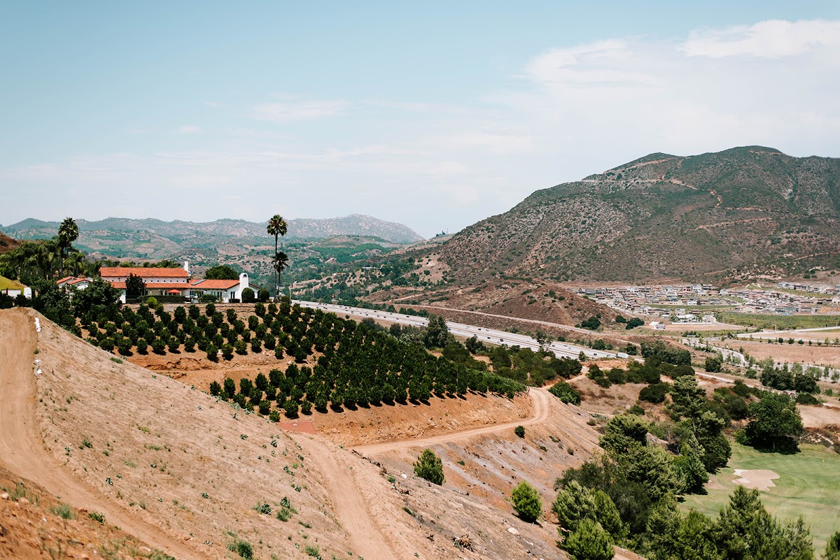 Iacobelli Wineries