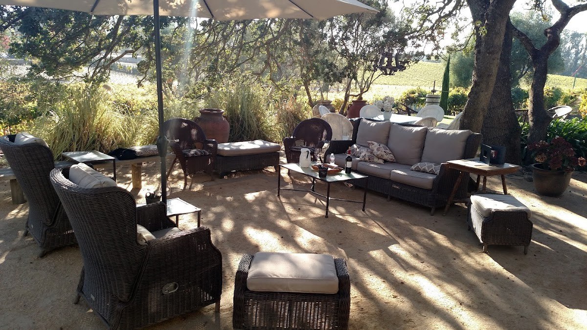 Black Cat Vineyard