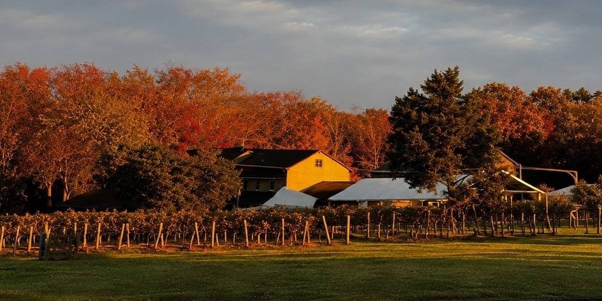 Buckingham Valley Vineyards