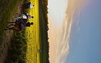 Domaine des Perdrix
