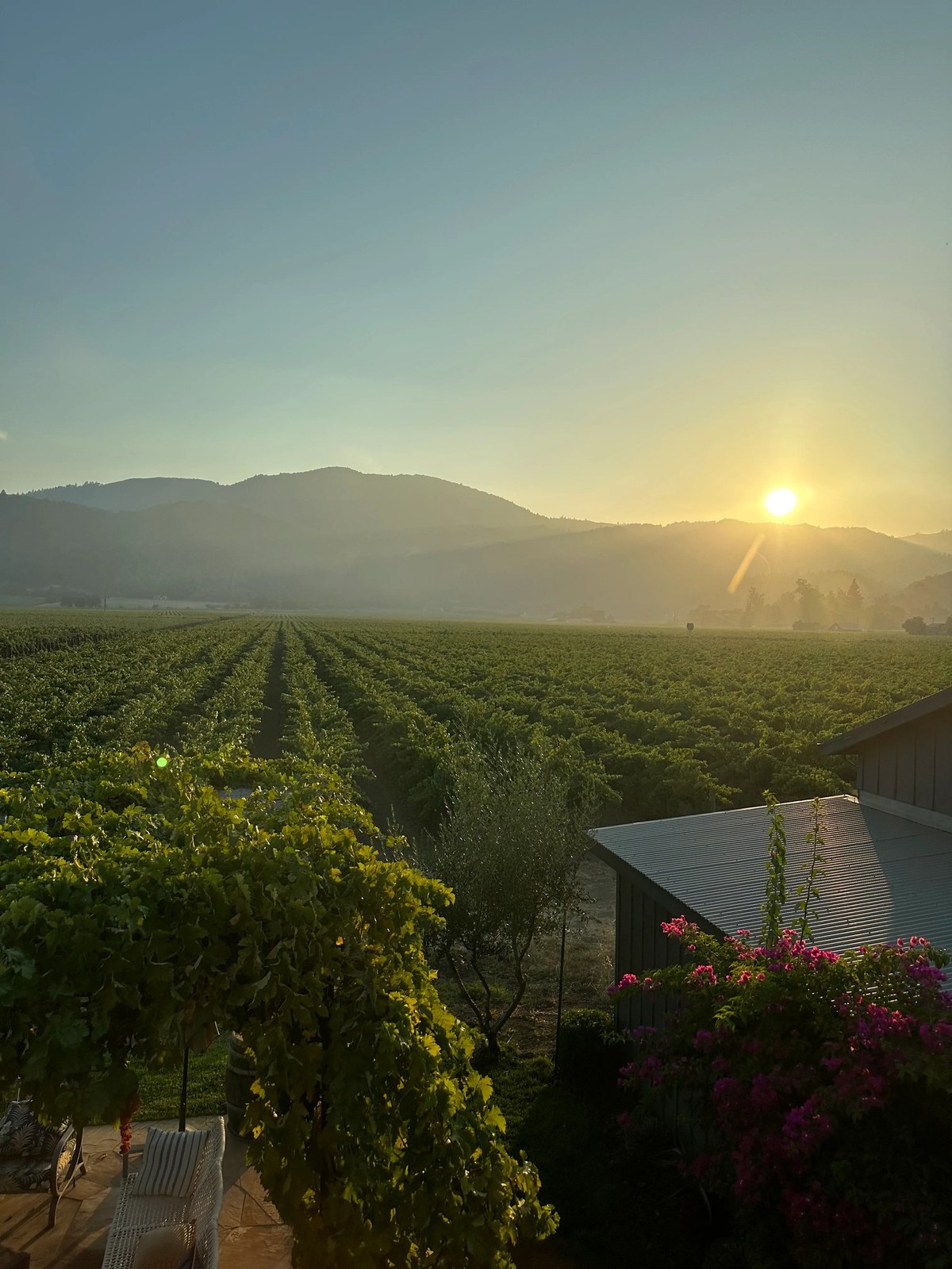 X Winery