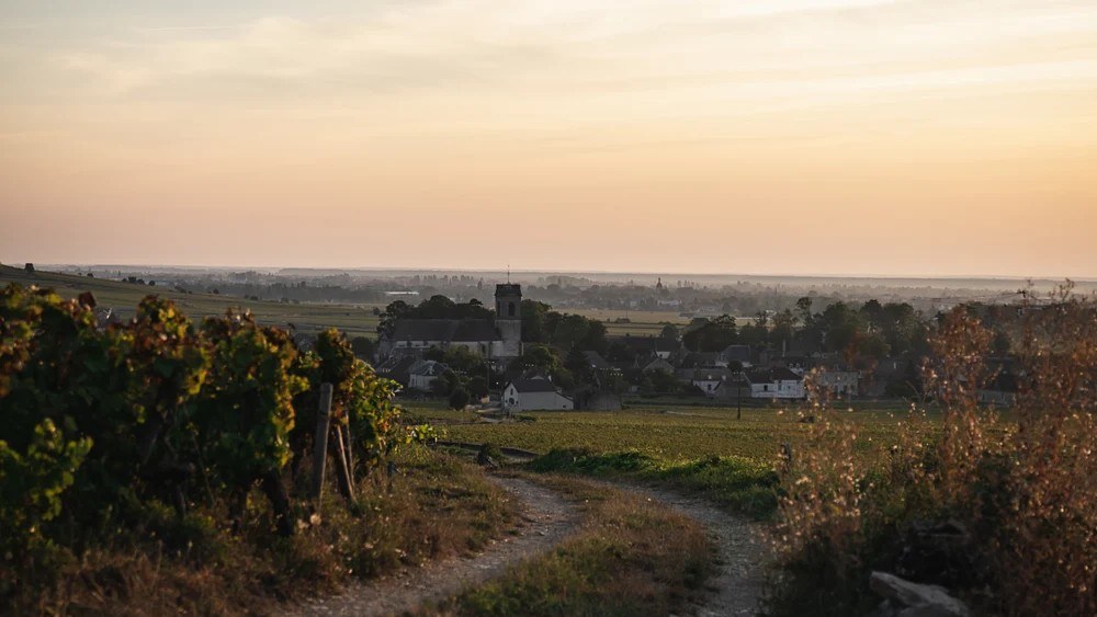 Domaine Francois Parent