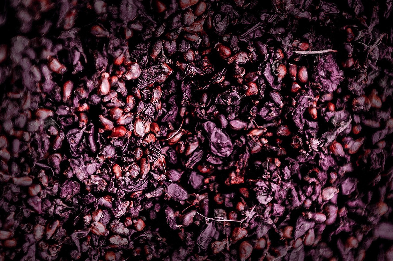 Azienda Agricola Monteversa