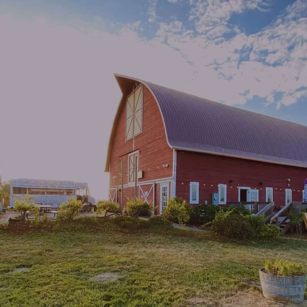 Tulip Valley Vineyard