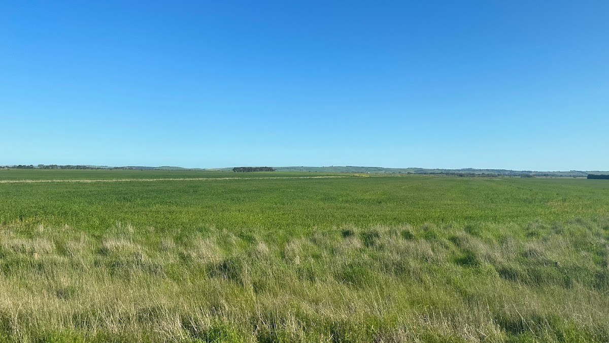 Bannockburn