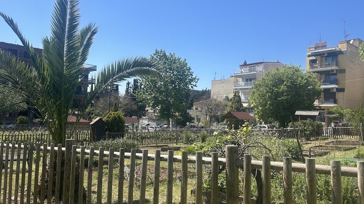 Urban Vineyard of the Municipality of Thessaloniki