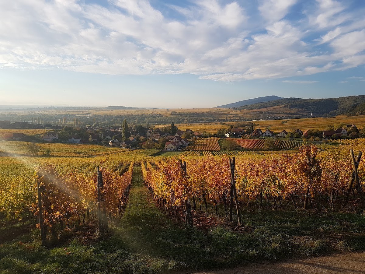 Domaine Rietsch
