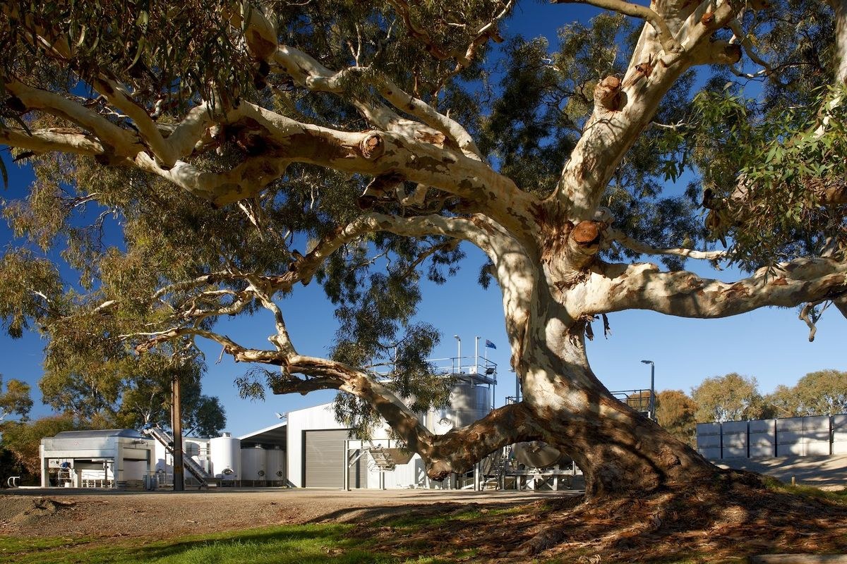 Gatt Wines winery