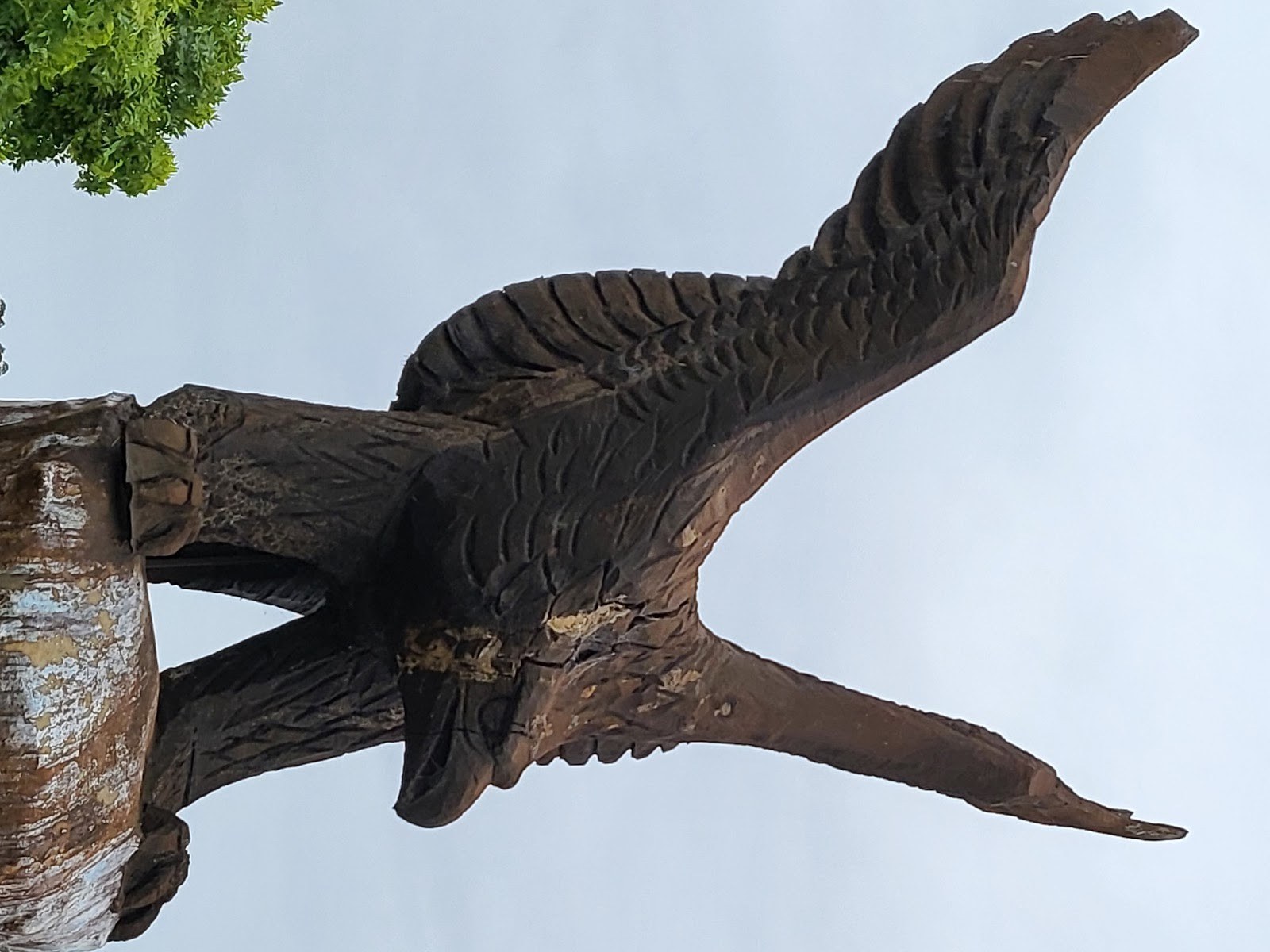 Whistling Eagle Vineyard