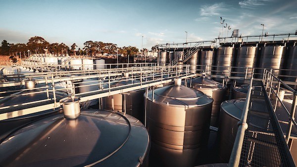 LCW Corp - Limestone Coast Wines
