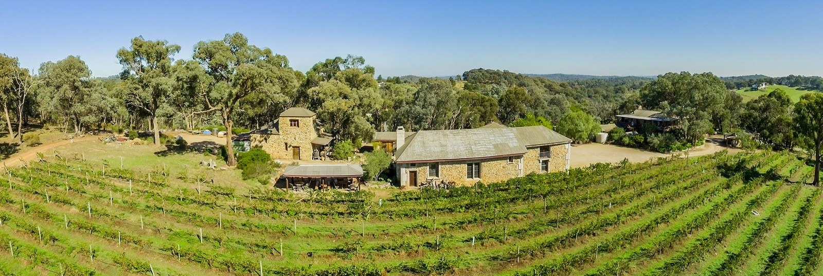 Panton Vineyard