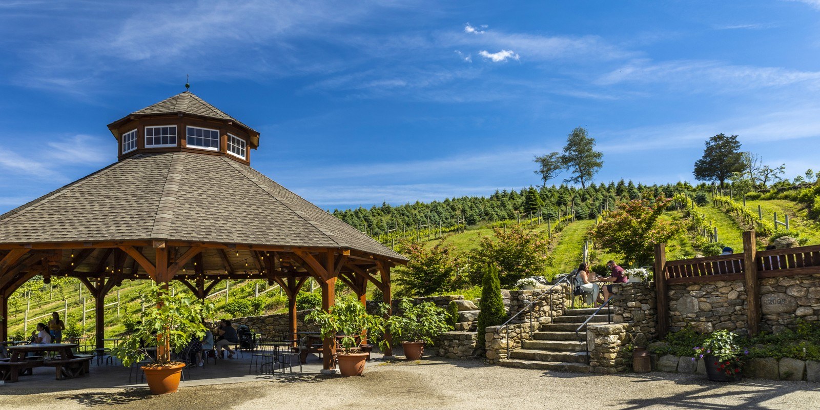Jones Family Vineyards